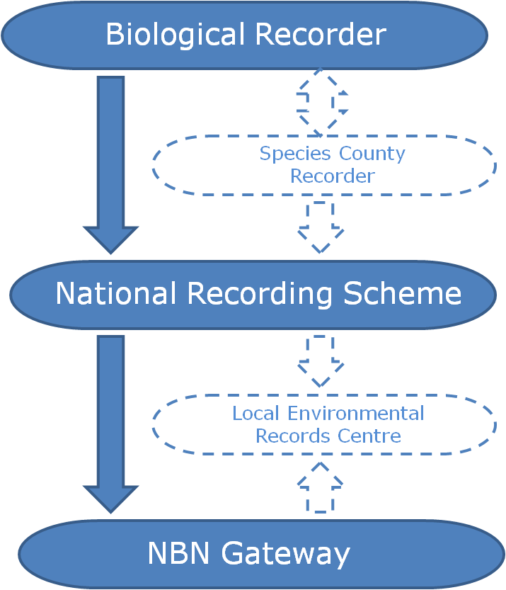 NRS Data Flow