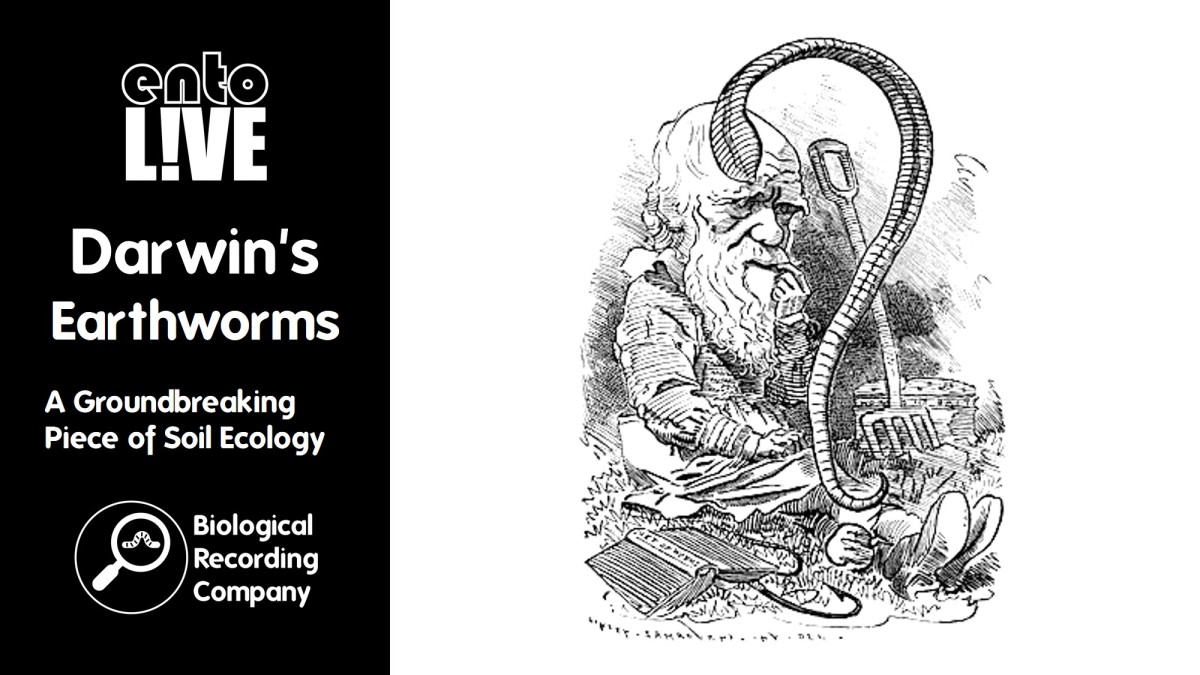 Darwin’s Earthworms: A Groundbreaking Piece of Soil Ecology